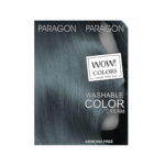 شامپو رنگ فانتزی Ash Blue 119 پاراگون Paragon